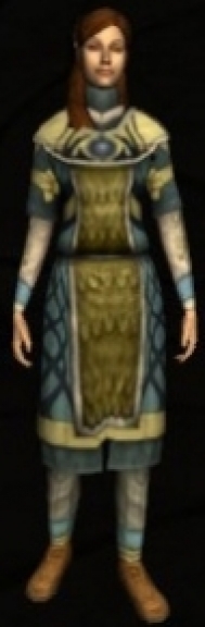 Elven Hauberk (Cosmetic) can be purchased from Outfitters.